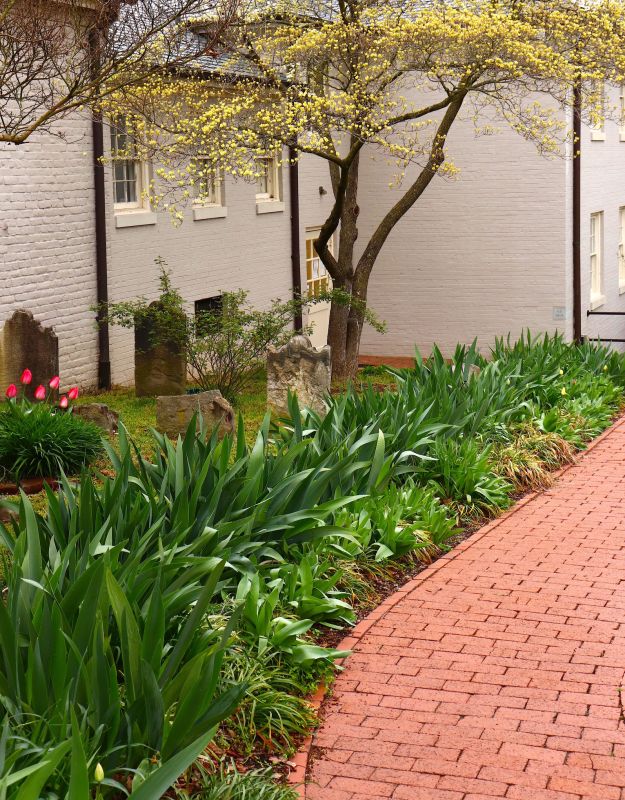 Brick Pathway Repair in Jackson, MI