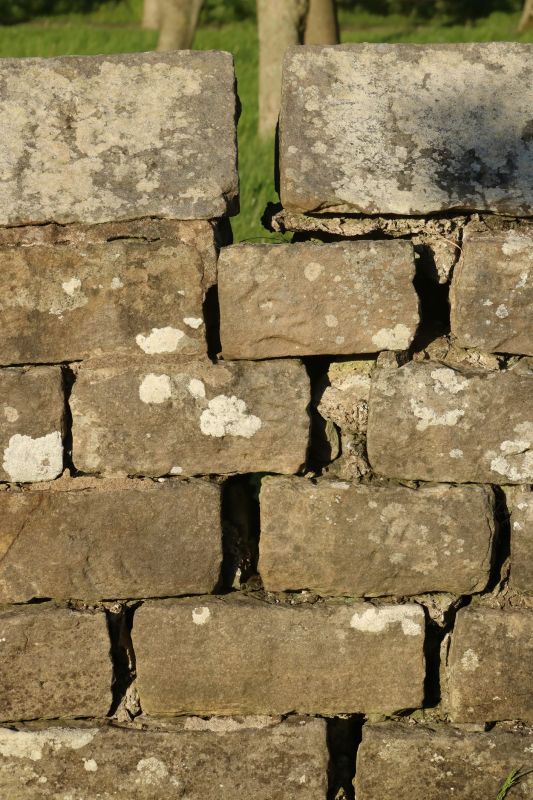 Stone Wall Repair in Jackson County, MI